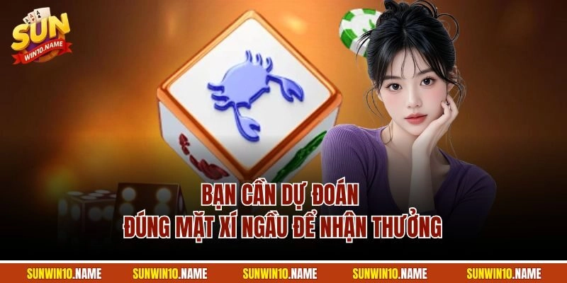 Bạn cần dự đoán đúng mặt xí ngầu để nhận thưởng